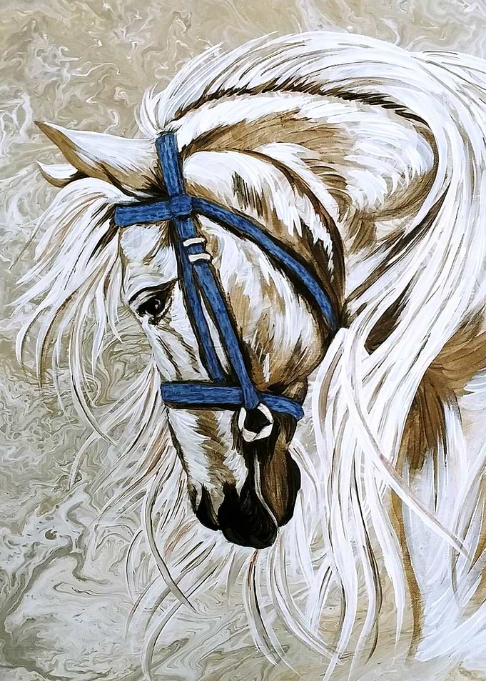 Beautiful white horse
