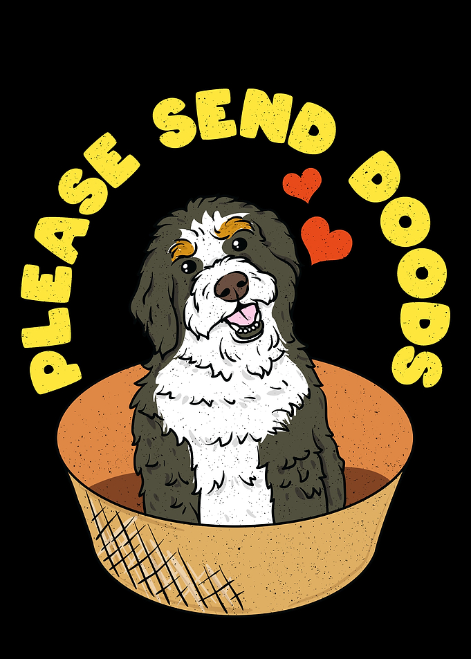 Bernedoodle Gift