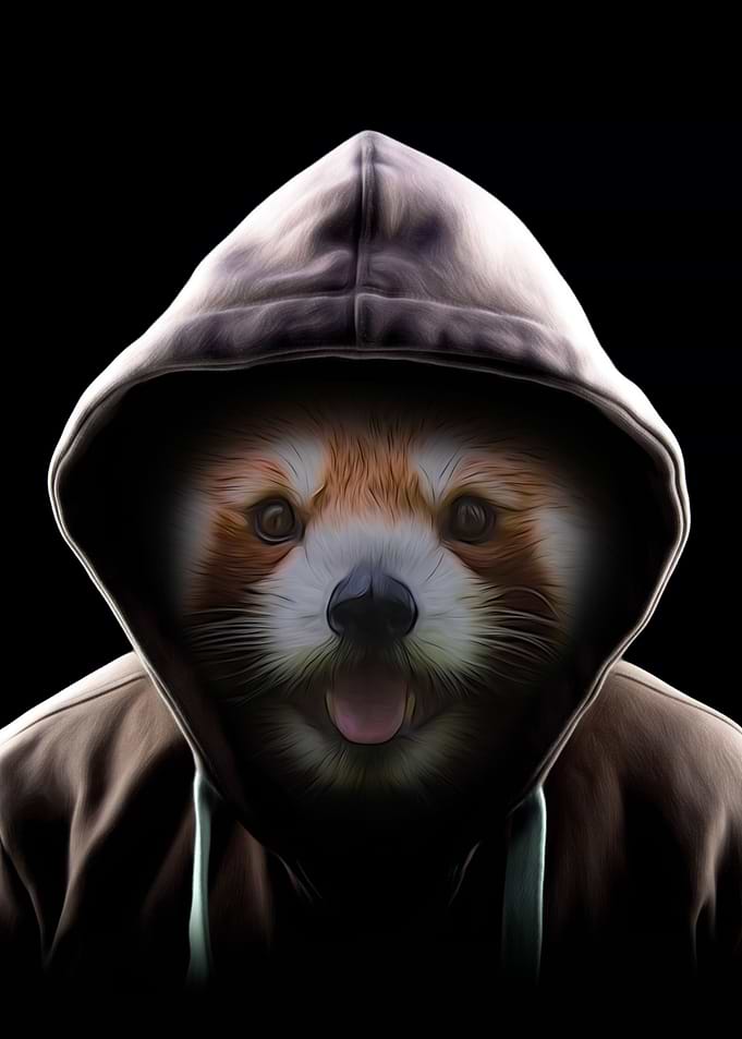 Hoodie Red Panda
