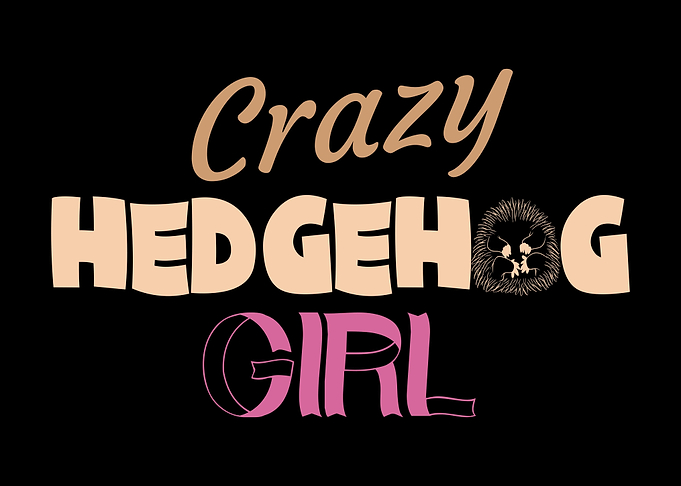 Crazy Hedgehog Girl