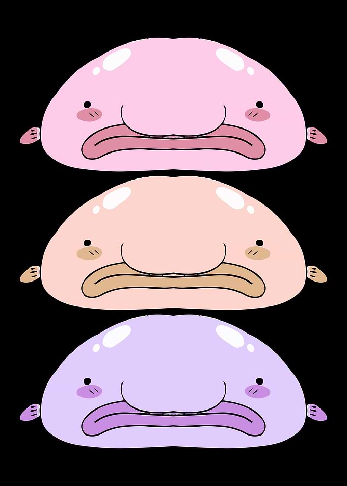 Blobfish Colorful