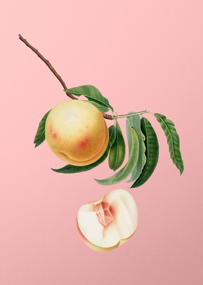 Vintage Duracina Peach Art