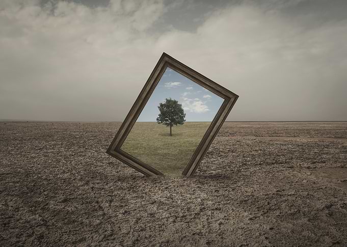 Framed Tree