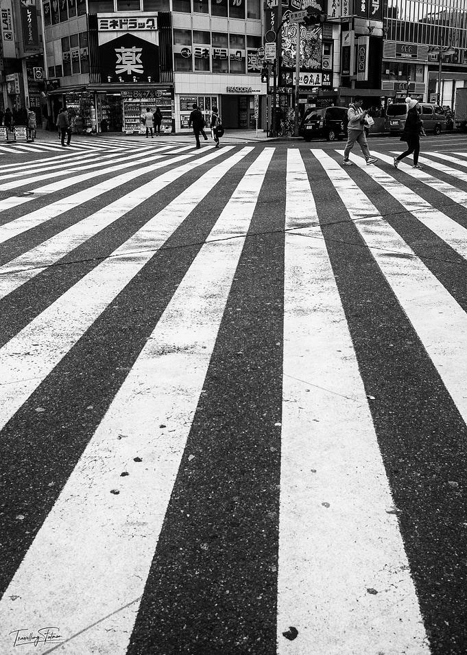 The Crossing