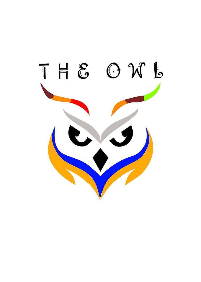 the owl art