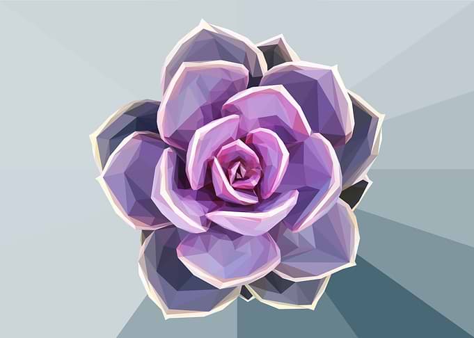Low Poly Purple Succulent