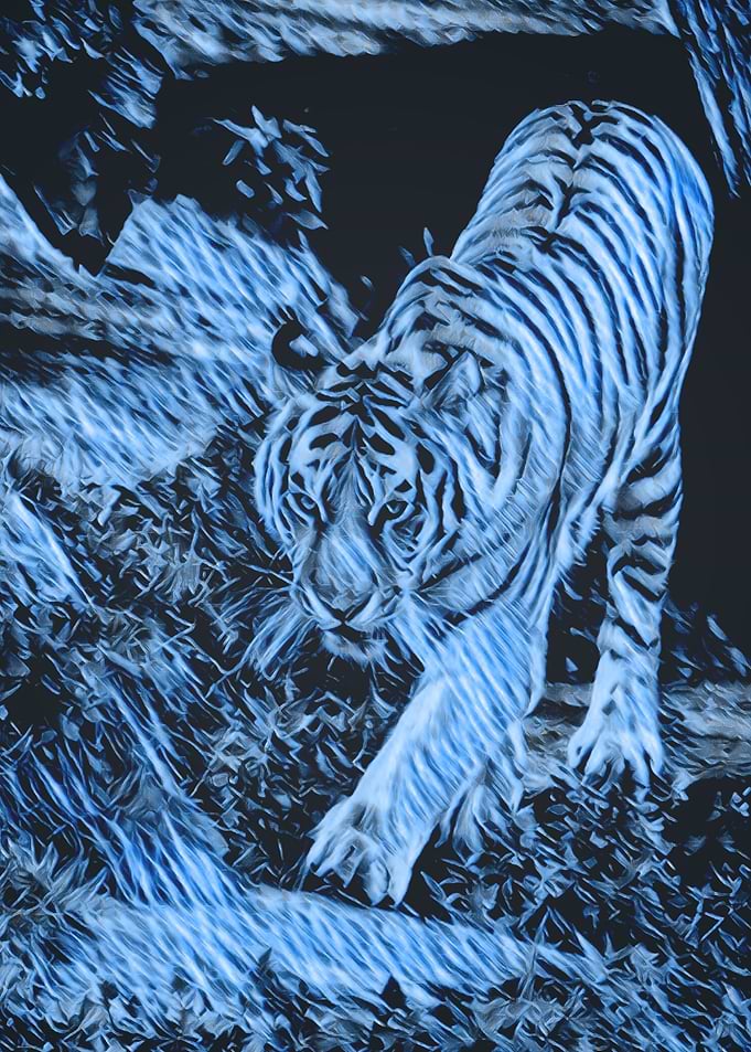 Animals 6
