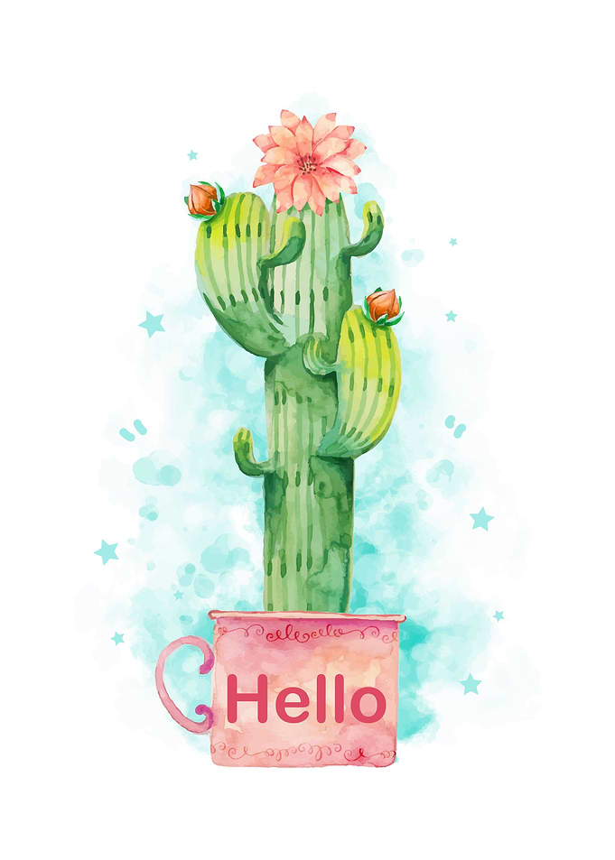 Cactus