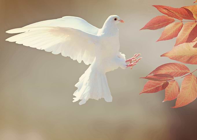 Peace