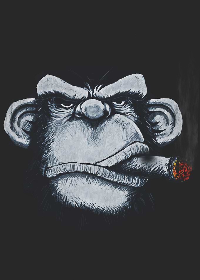 Mongky