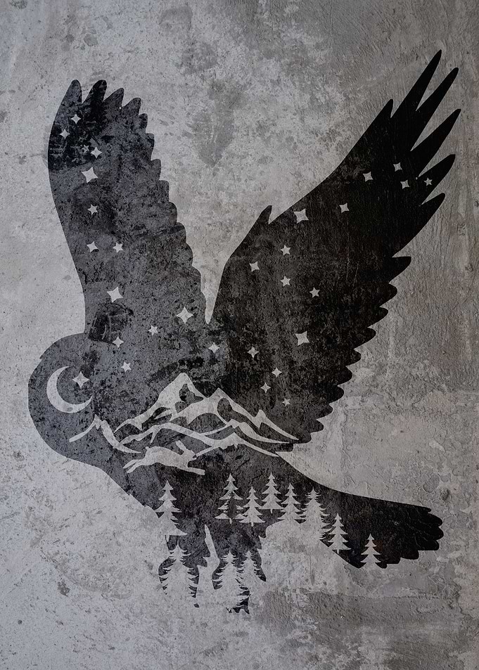 Graffiti Nature Owl