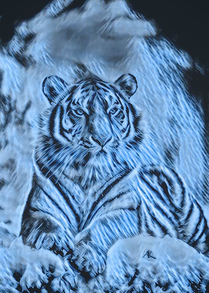 Animals 4