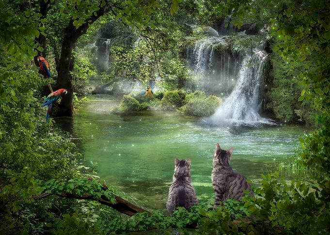 Little Dreamer 5