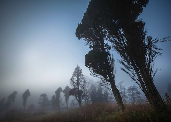 foggy day