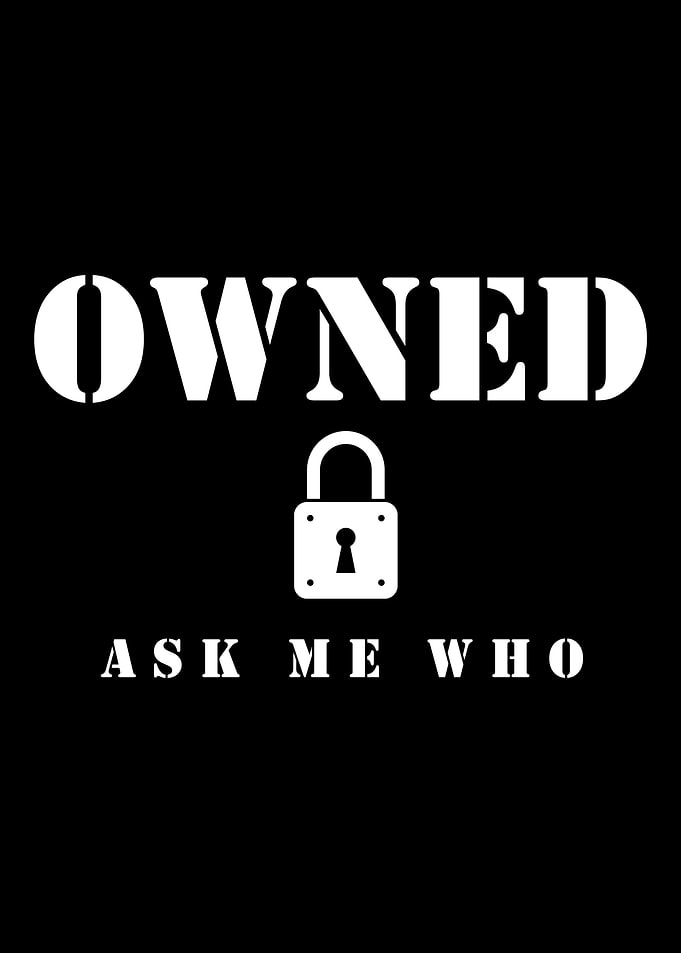 BDSM Owned Who
