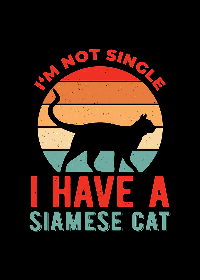Funny Siamese Cat
