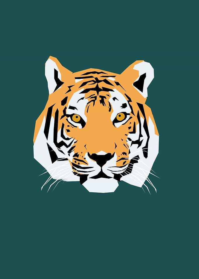 Tigers head