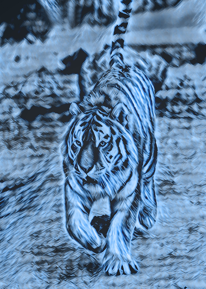 Animals 7