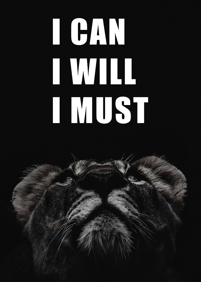 Lion Motivational Quote