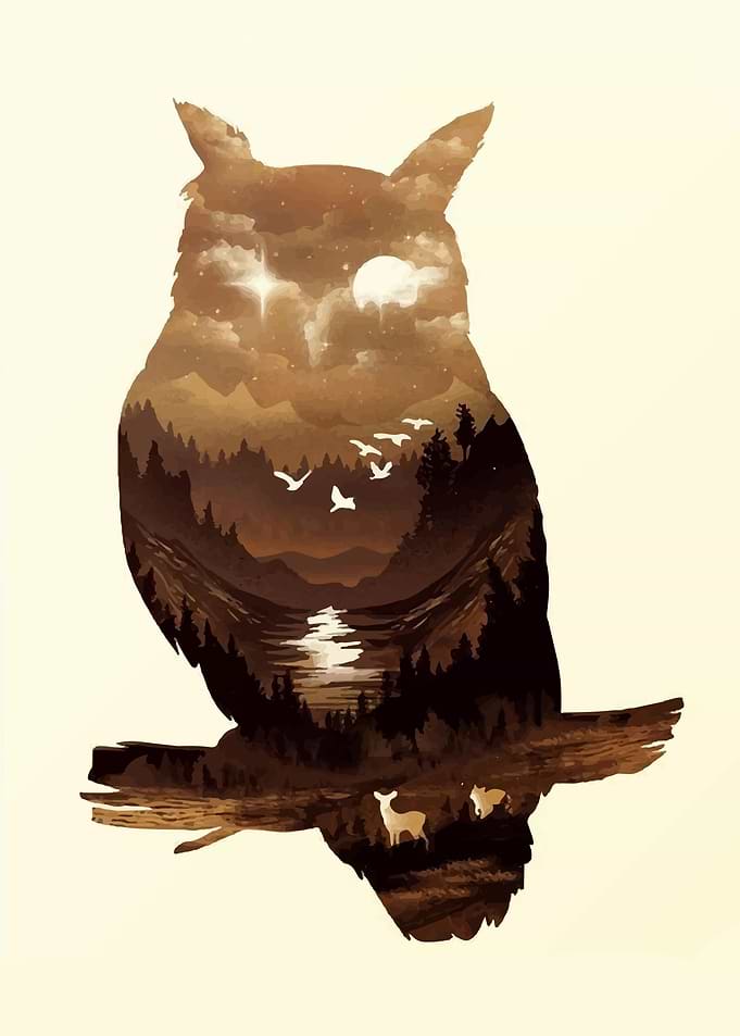 Owl Celestial
