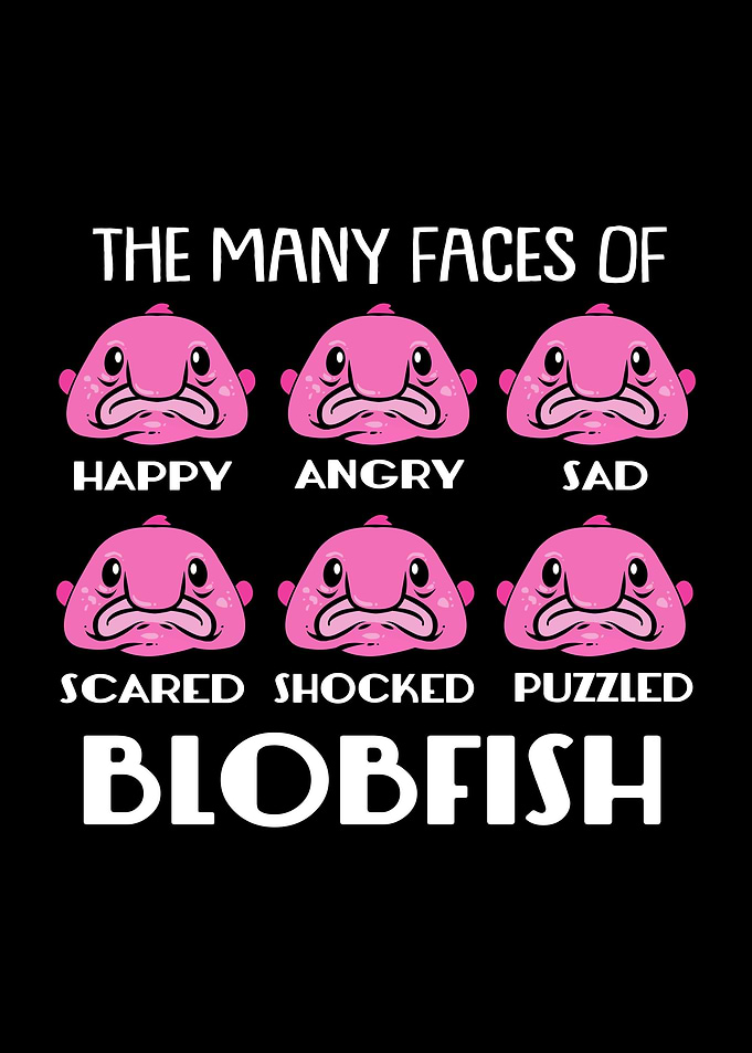 Blobfish Many Faces