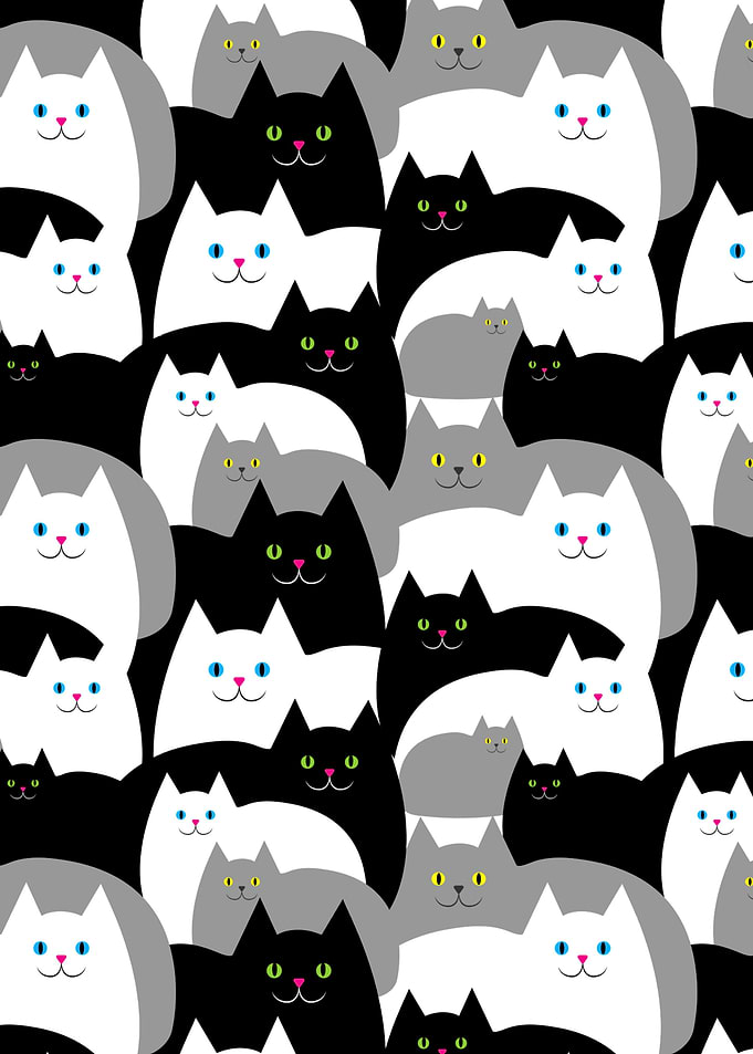 Black Gray and White cat