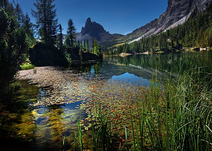 lake federa