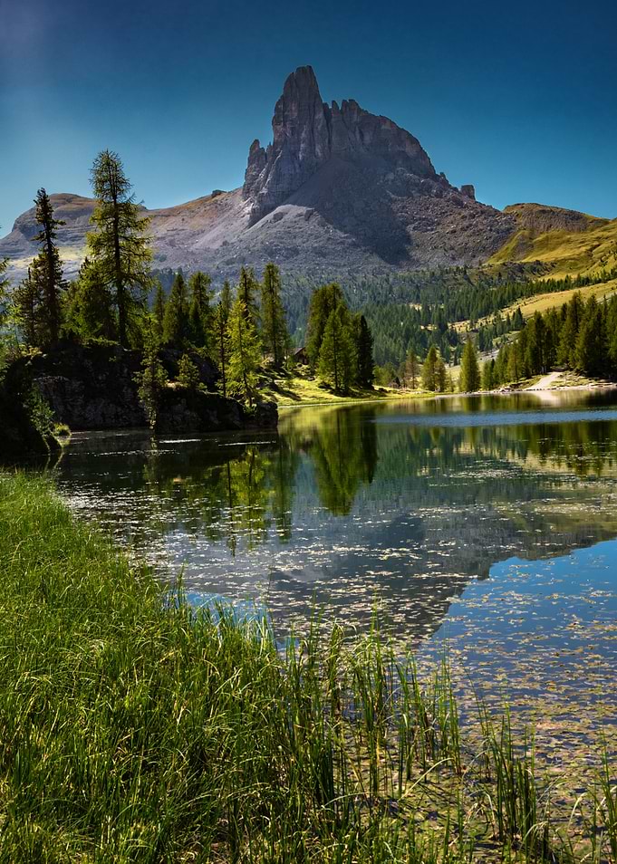 lago federa