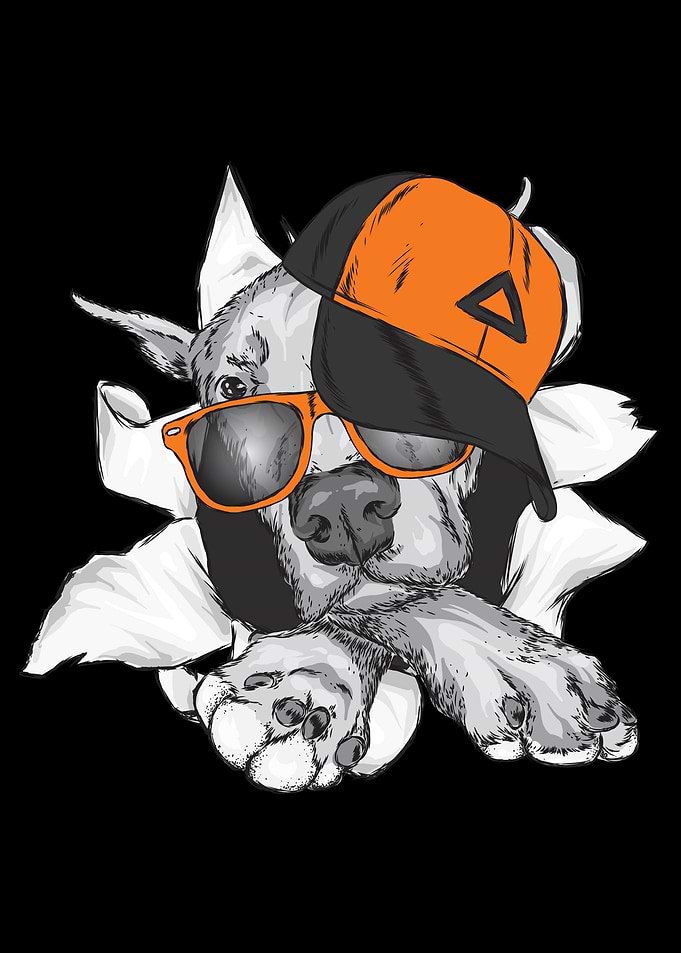 Hip hop