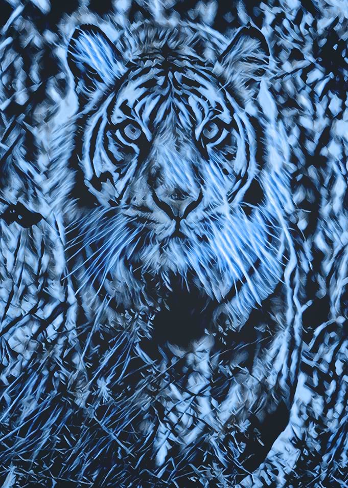 Animals 5