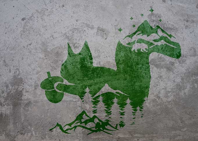 Graffiti Nature Squirrel