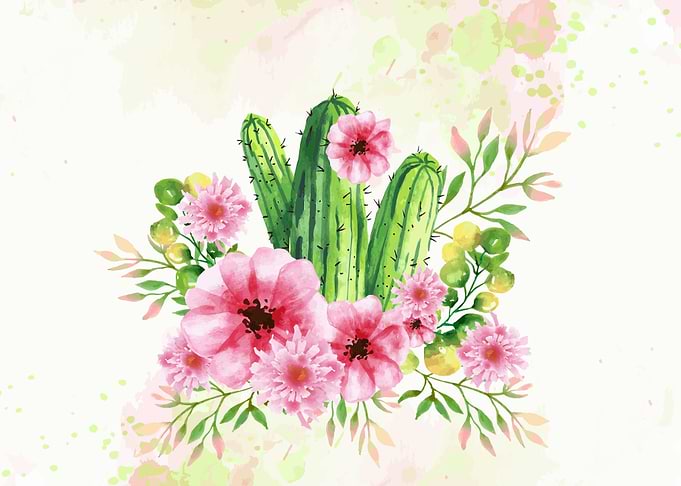 Cactus