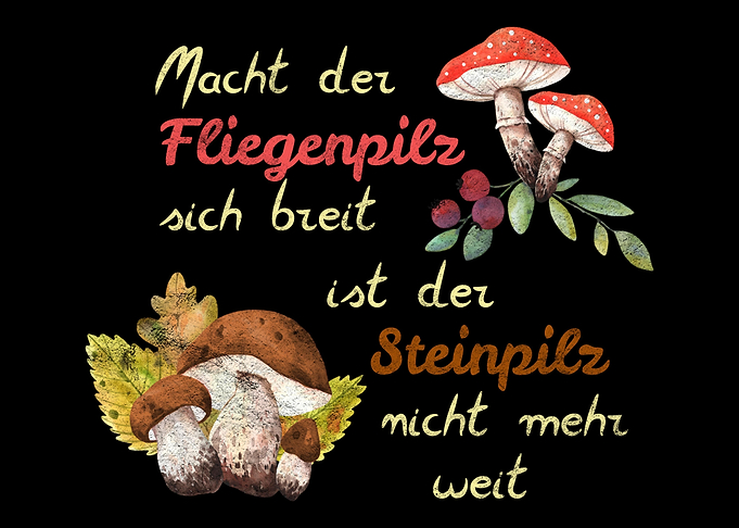 Pilze Pilzsammler Spruch