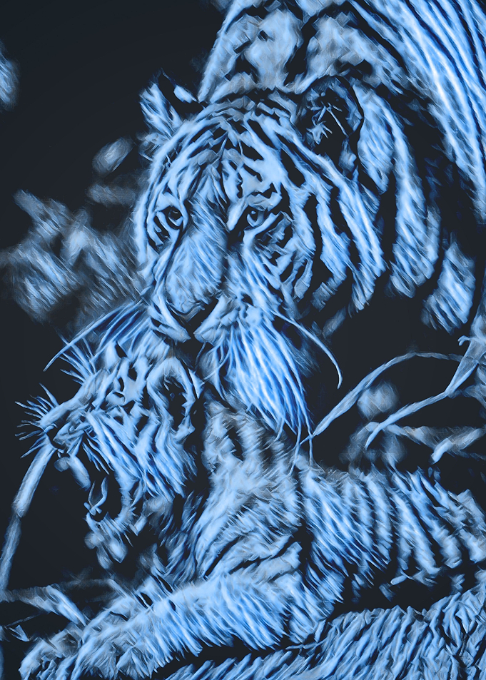 Animals 1