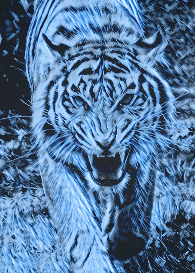 Animals 2