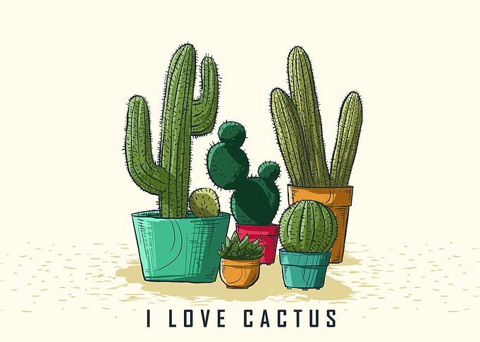 Cactus