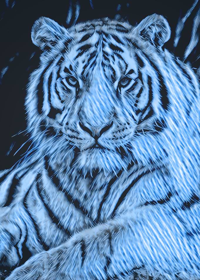 Animals 3