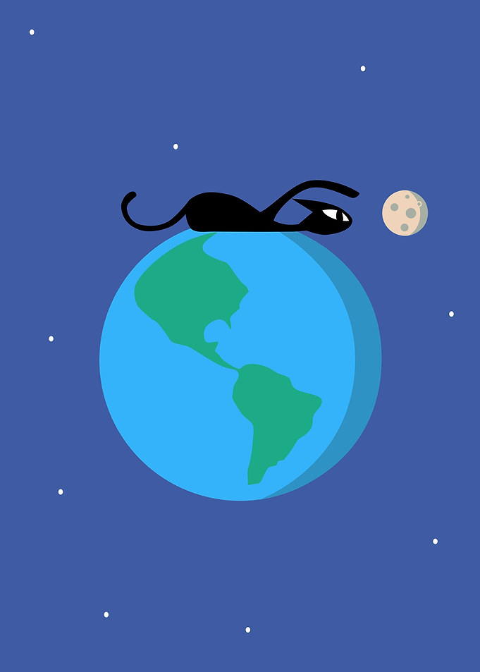 Catronaut