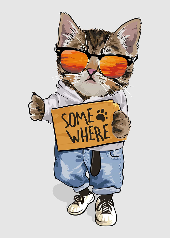 Funny Cat