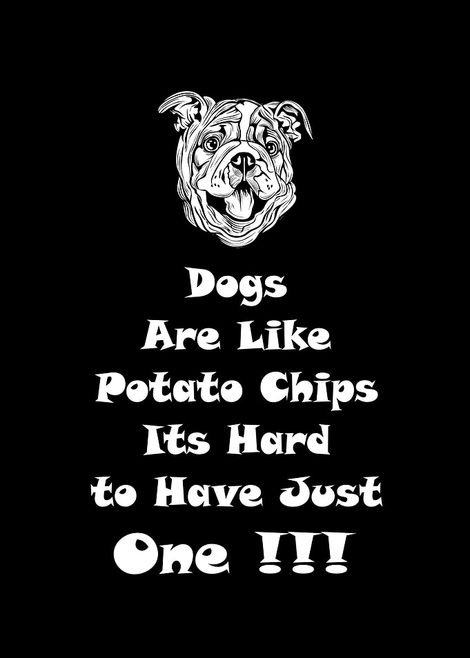 Dogs Quotes