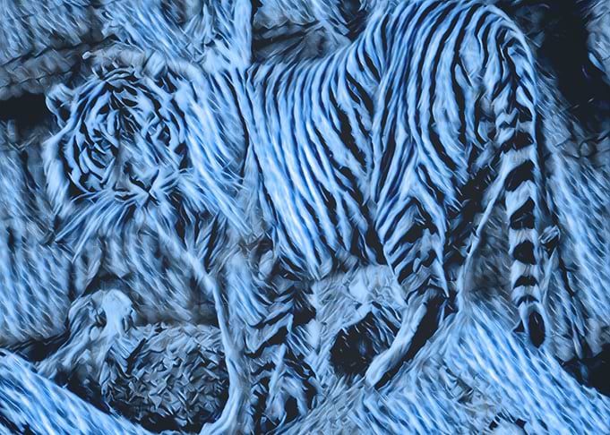 Animals 9
