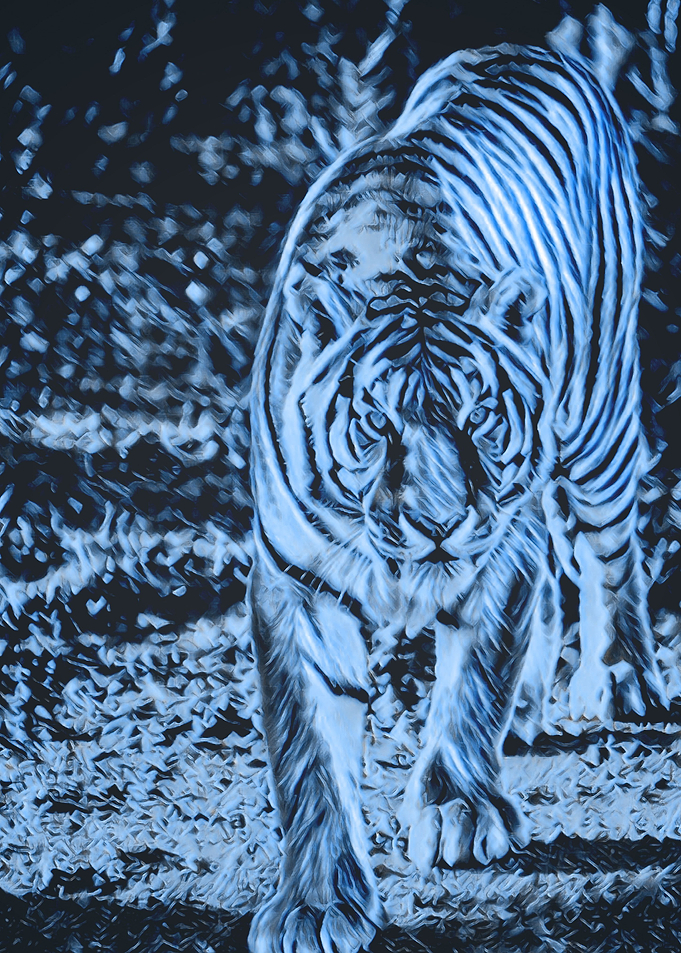 Animals 8