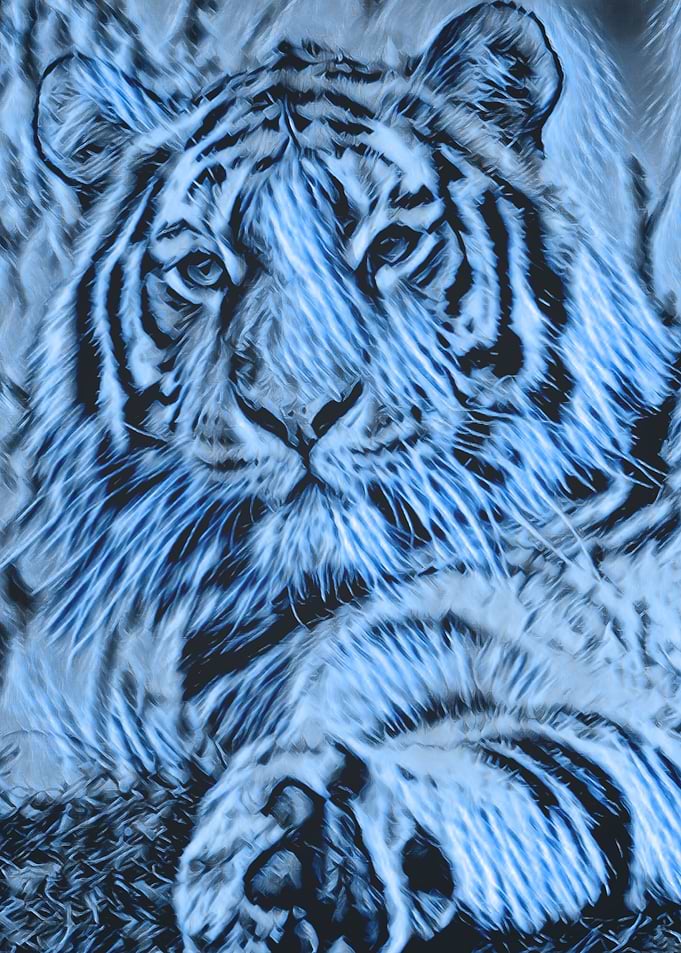 Animals 10