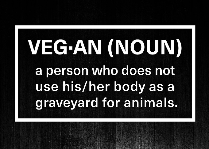 Funny Vegan Explanation