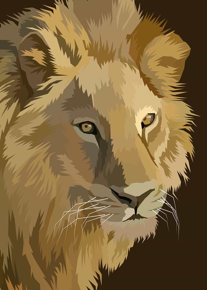 Lion king