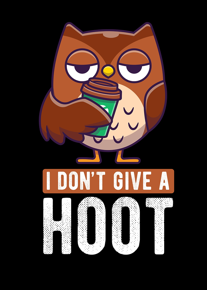 Owl Owls Baby Night Owl