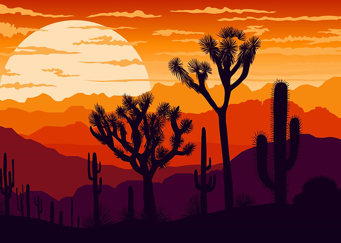Desert