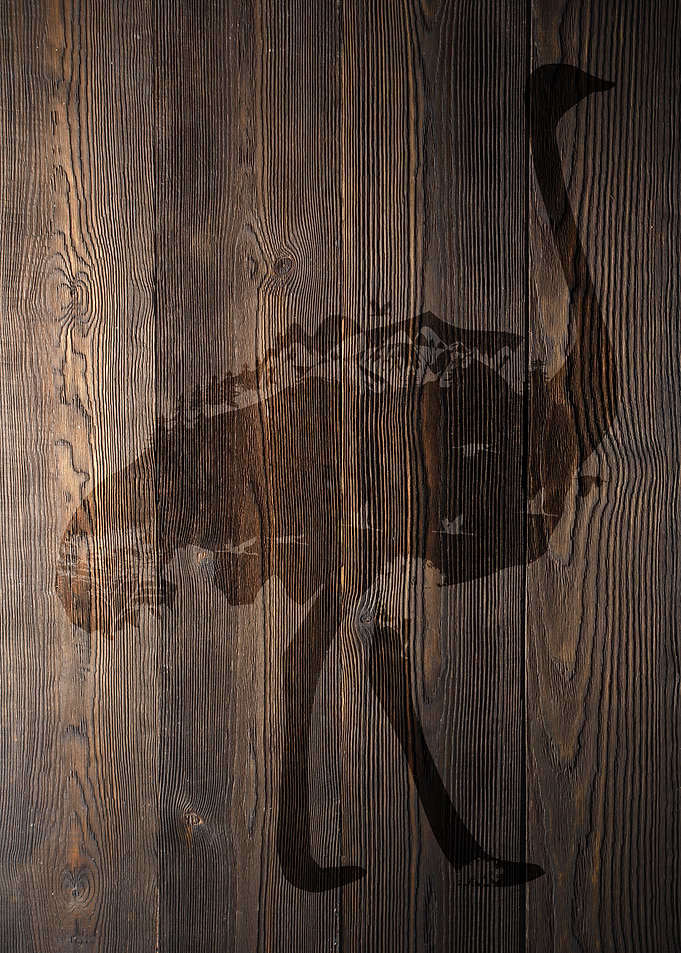 NATURE WOOD OSTRICH