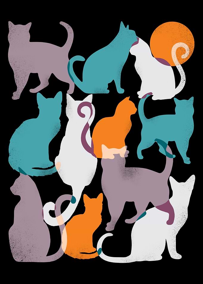 Cats