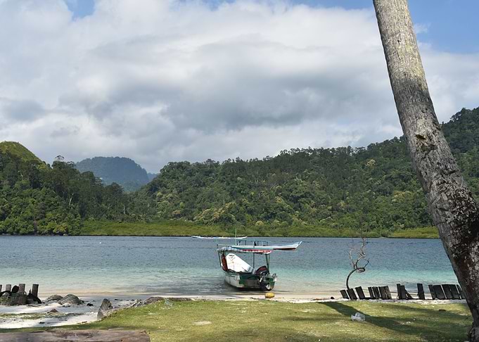 Magnificent View Island